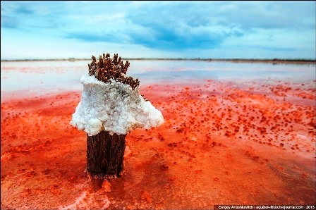 Rực rỡ khu đầm muối tuyệt đẹp ở bán đảo Crimean - 13 Đình Huế